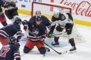 WINNIPEG - ARIZONA