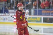 TIGERS - ZSC