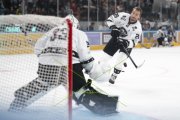 FIALA ALLSTARS - ZSC