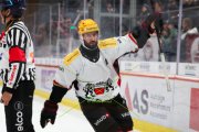 TIGERS - LAUSANNE