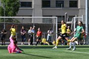 YB - ST.GALLEN