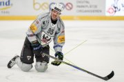 TIGERS - FRIBOURG