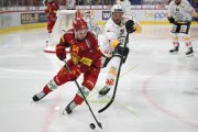 TIGERS - LUGANO