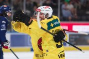 ZSC - BERN