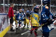 FIALA ALLSTARS - ZSC