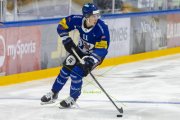 FRIBOURG - TIGERS