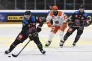 FRIBOURG - SHEFFIELD