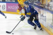 FRIBOURG - TIGERS