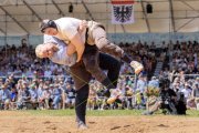 AARGAUER KANTONALSCHWINGFEST