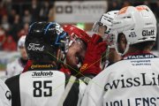 TIGERS - ZSC