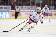 TIGERS - ZSC