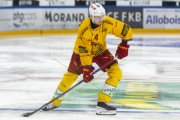 FRIBOURG - TIGERS