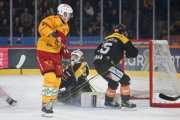 BERN - TIGERS
