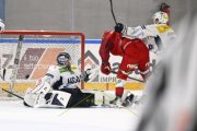 AMBRI - TIGERS