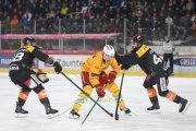 BERN - TIGERS