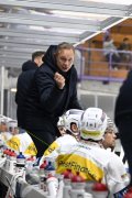 AMBRI - TIGERS