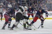 WINNIPEG - ARIZONA