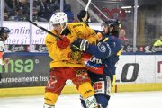 AMBRI - TIGERS
