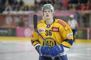 TIGERS - DAVOS