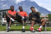 BASEL Training