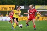 RAPPERSWIL - YB
