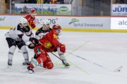 TIGERS - LAUSANNE