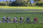 UCI ROAD WC 2024