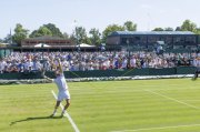 WIMBLEDON 2025
