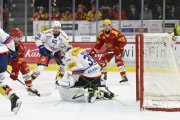 TIGERS - KLOTEN
