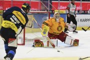 AMBRI - TIGERS