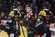BERN - ZSC