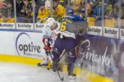 DAVOS - ZSC