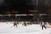 BERN - AMBRI