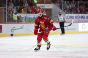 TIGERS - ZSC
