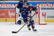 ZSC - BERN