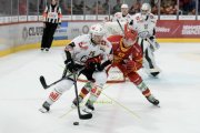 TIGERS - LUGANO