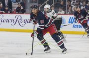 WINNIPEG - ARIZONA