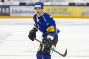 FRIBOURG - TIGERS
