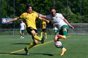 YB - KRIENS