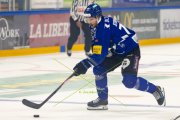 FRIBOURG - TIGERS