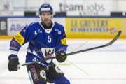 FRIBOURG - TIGERS