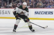WINNIPEG - ARIZONA