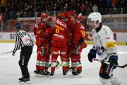 TIGERS - FRIBOURG