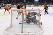 FRIBOURG - TIGERS