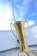 POKAL THUN