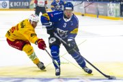 FRIBOURG - TIGERS