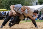 BASELSTAEDTISCHER SCHWINGERTAG