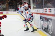 TIGERS - ZSC