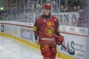 TIGERS - ZSC