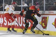 BERN - MOUNTFIELD